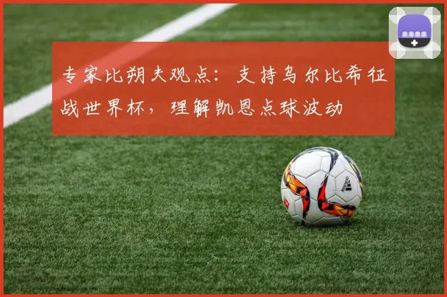 专家比朔夫观点：支持乌尔比希征战世界杯，理解凯恩点球波动