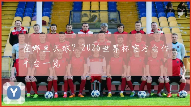 在哪里买球?2026世界杯官方合作平台一览